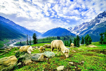 Awesome Kashmir Tour